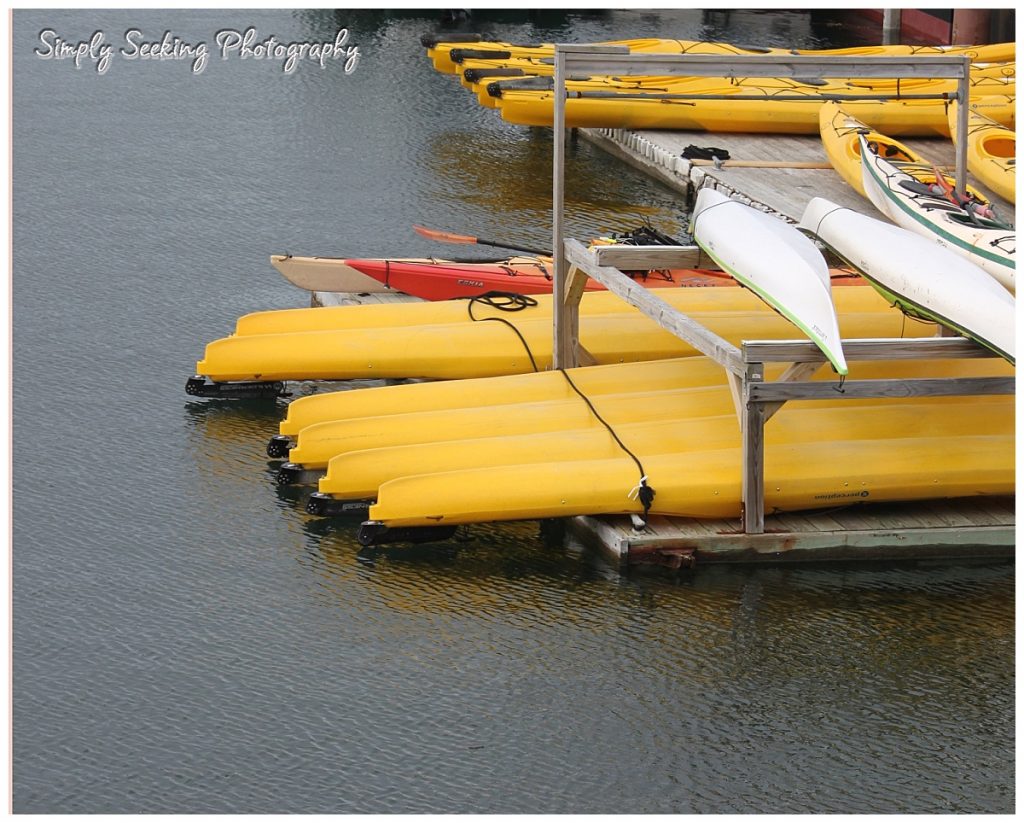 Kayaks in Bar Harbor Maine