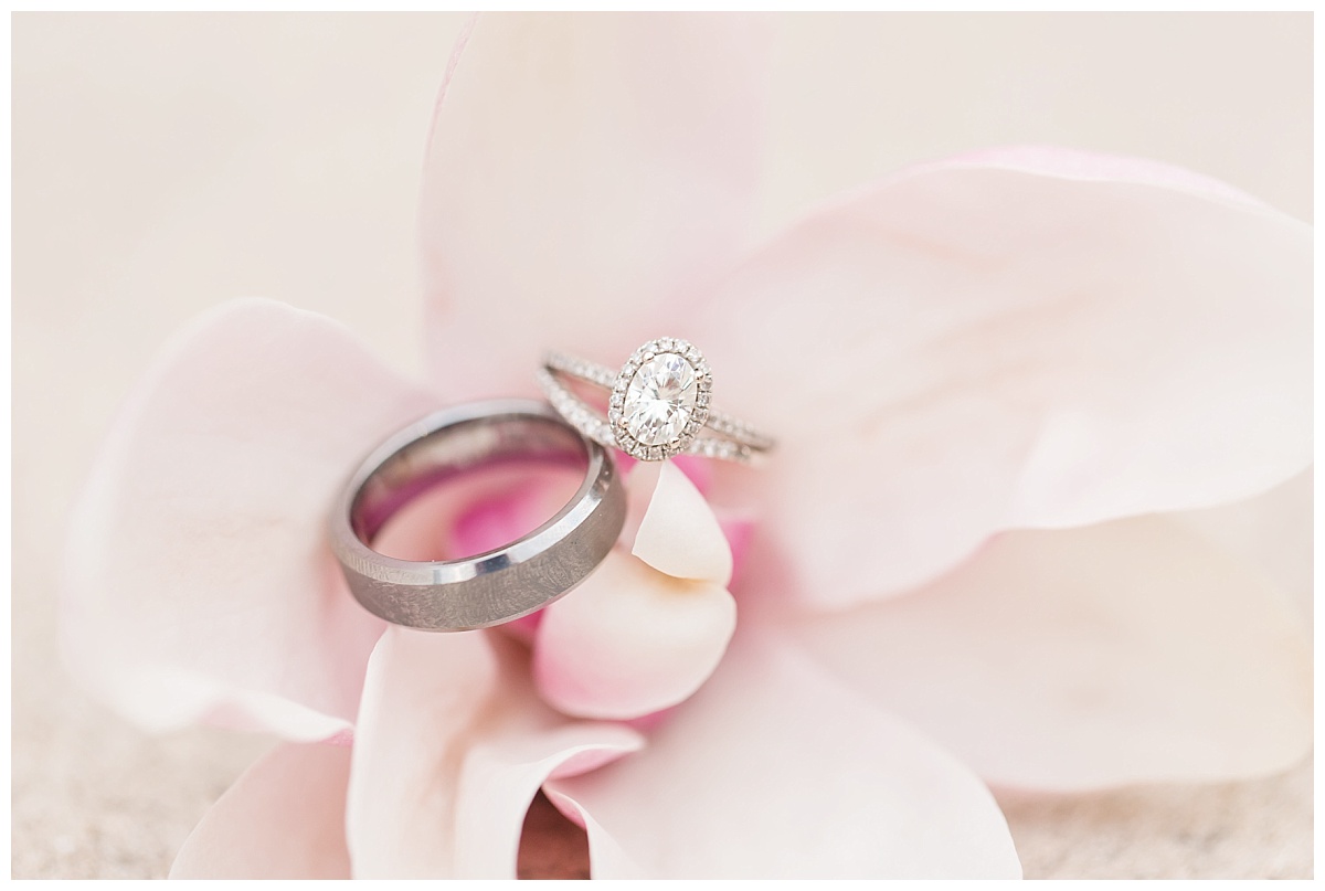wedding rings on tulip tree blossom