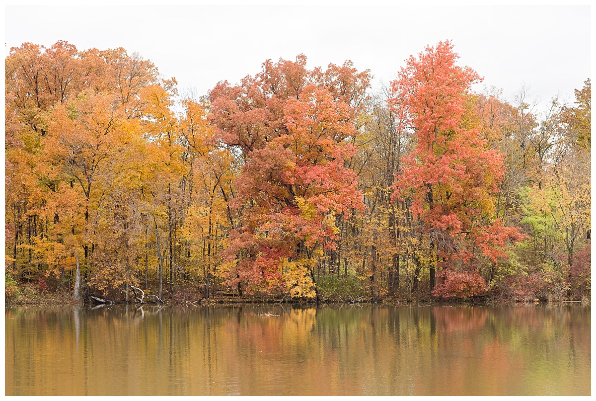 Fall foliage photo by Simply Seeking Photography