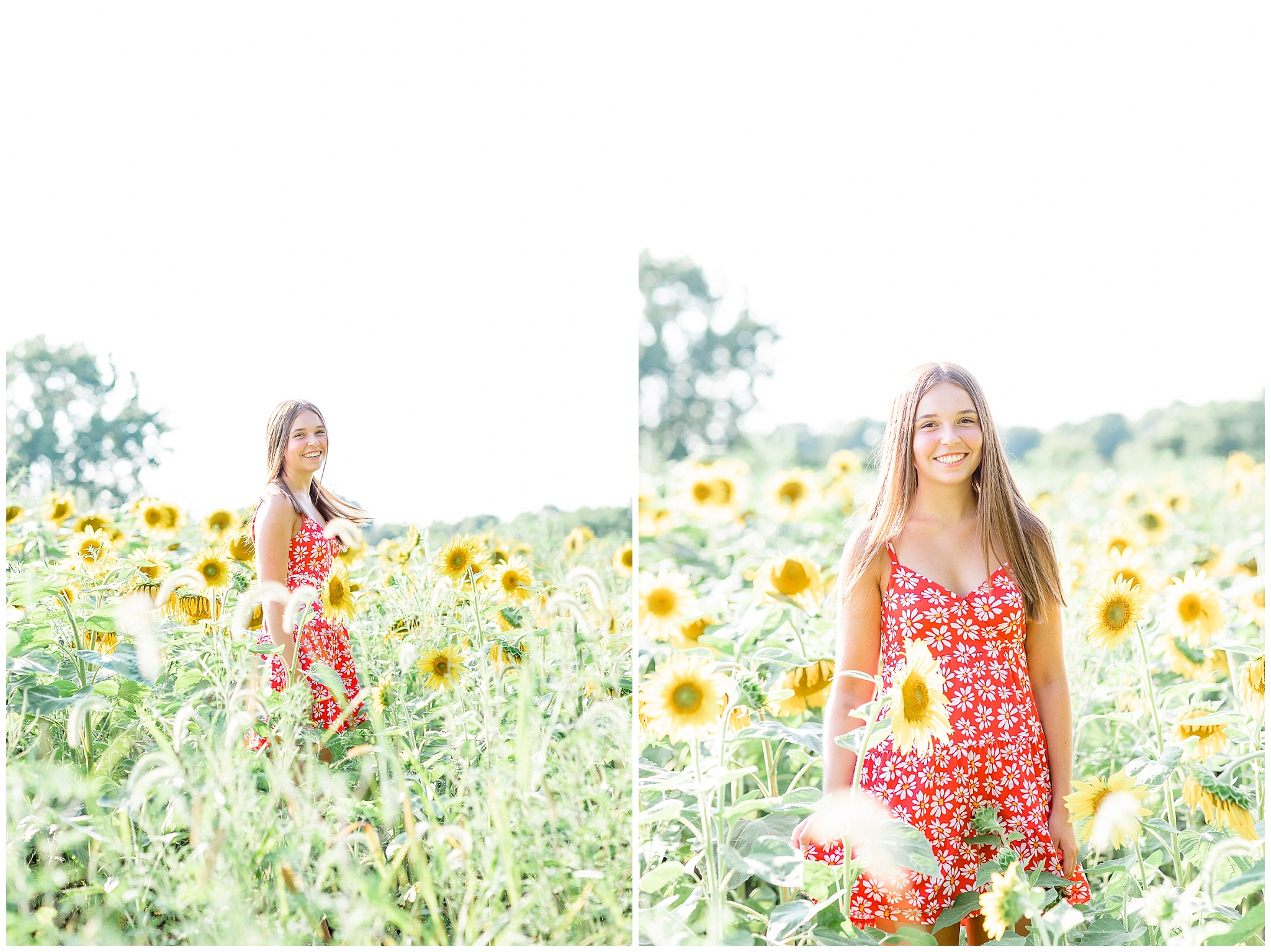 senior girl in sunflower field