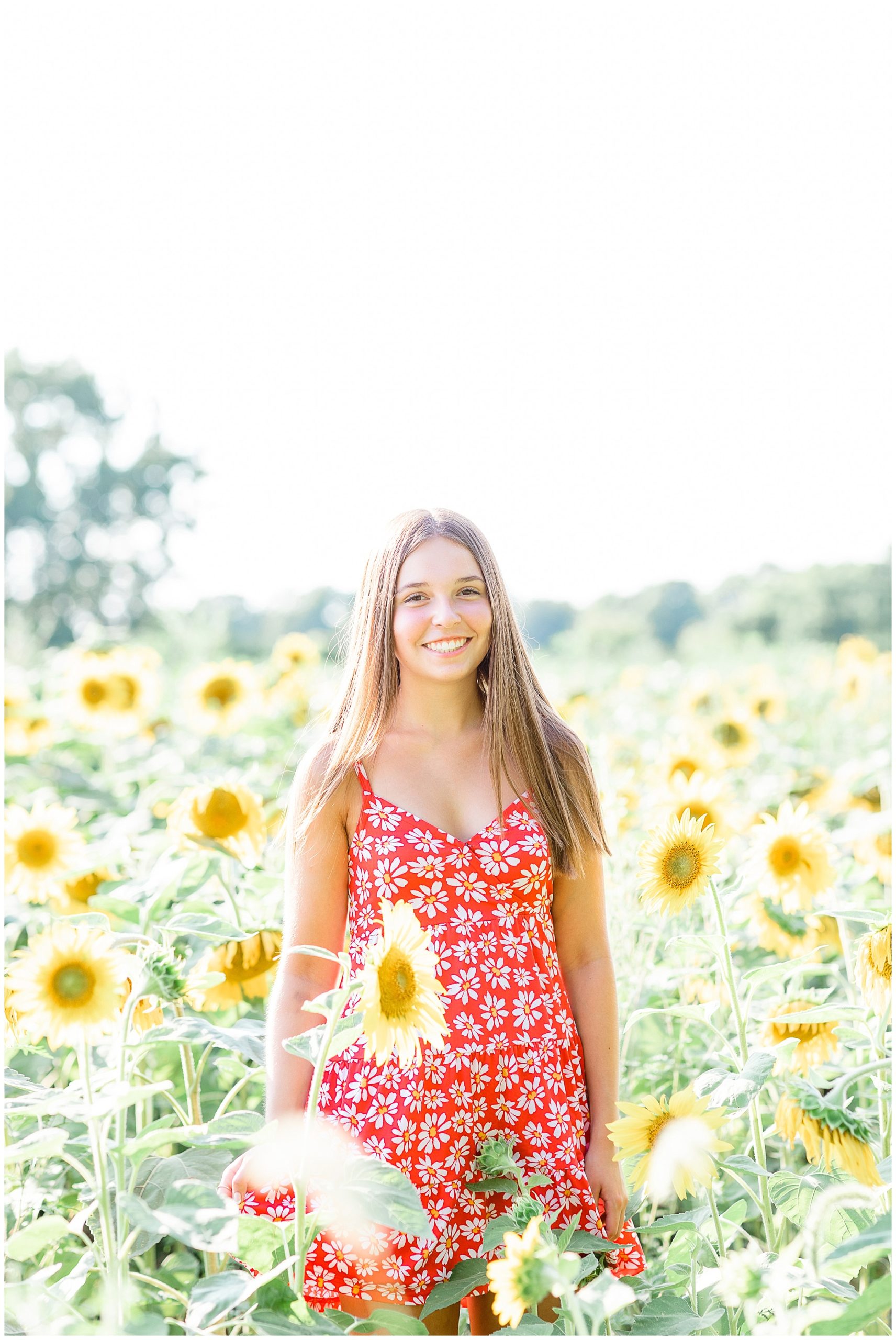 senior girl in sunflower field